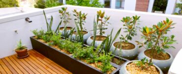 orto con vasi sul balcone