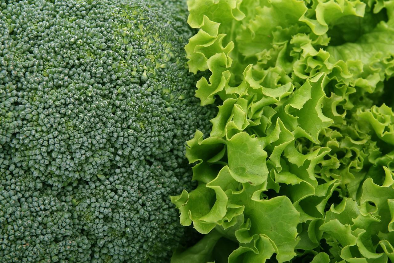 Broccoli e lattuga