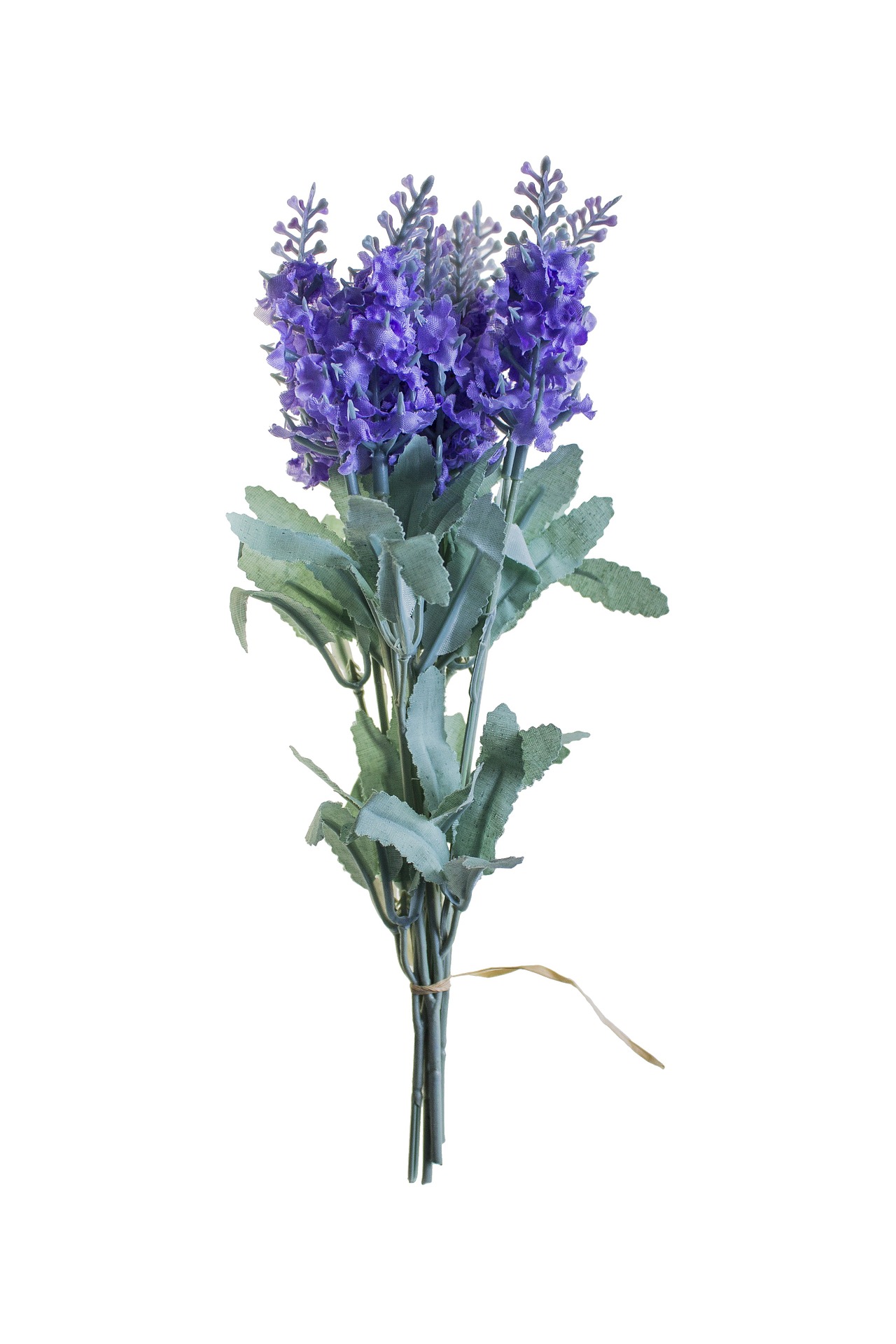 Finta lavanda