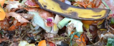 Compost