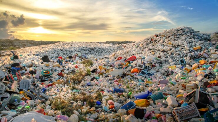 sangue microplastiche