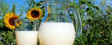 Latte e yogurt