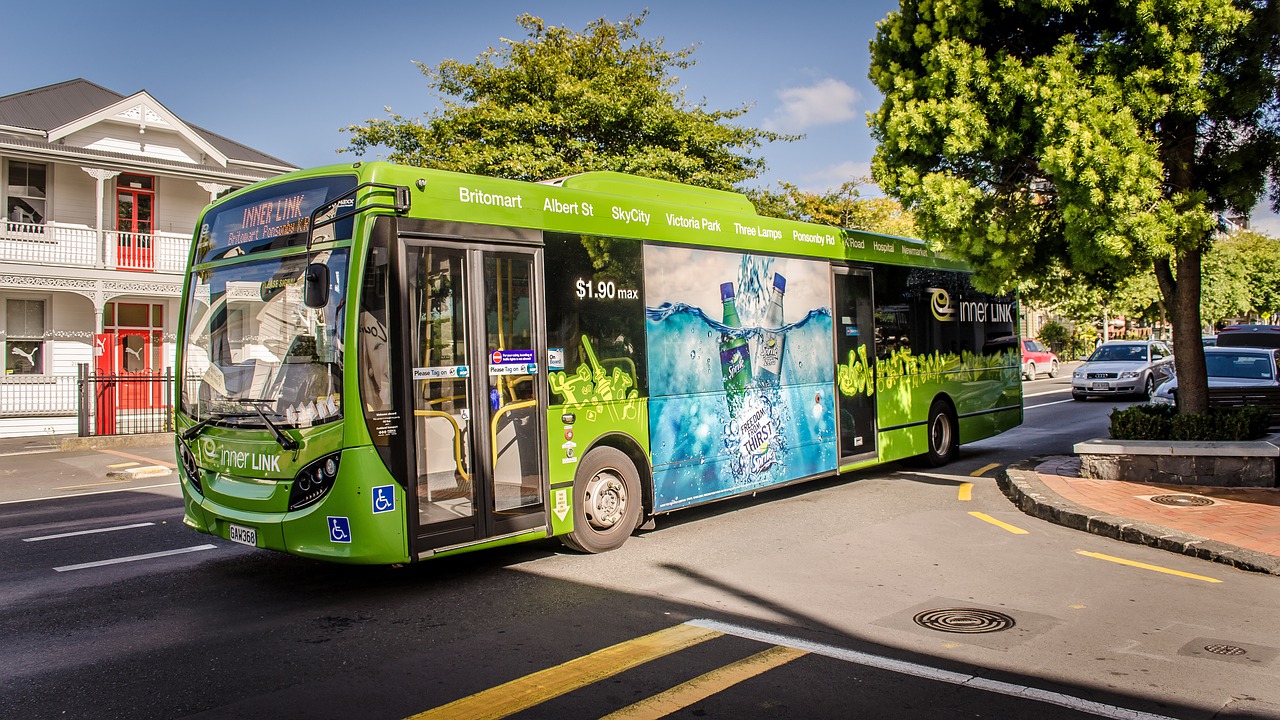 Autobus verde