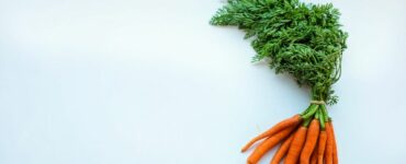 pianta di carota