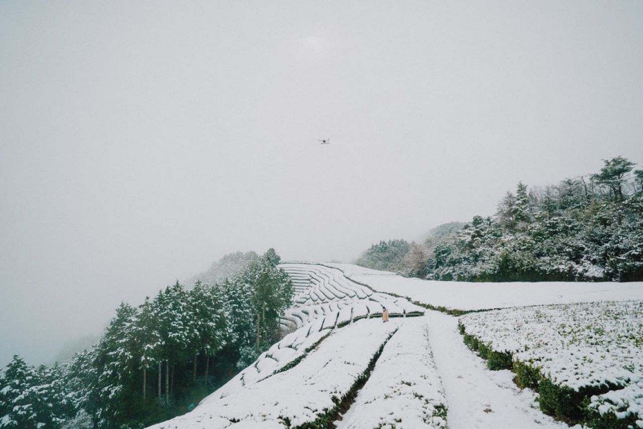 giardino innevato