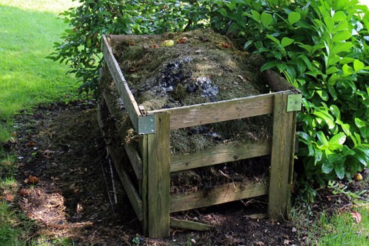 compost per piante