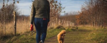 Passeggiata col cagnolino