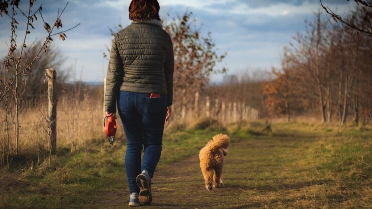 Passeggiata col cagnolino