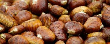 castagne appena raccolte