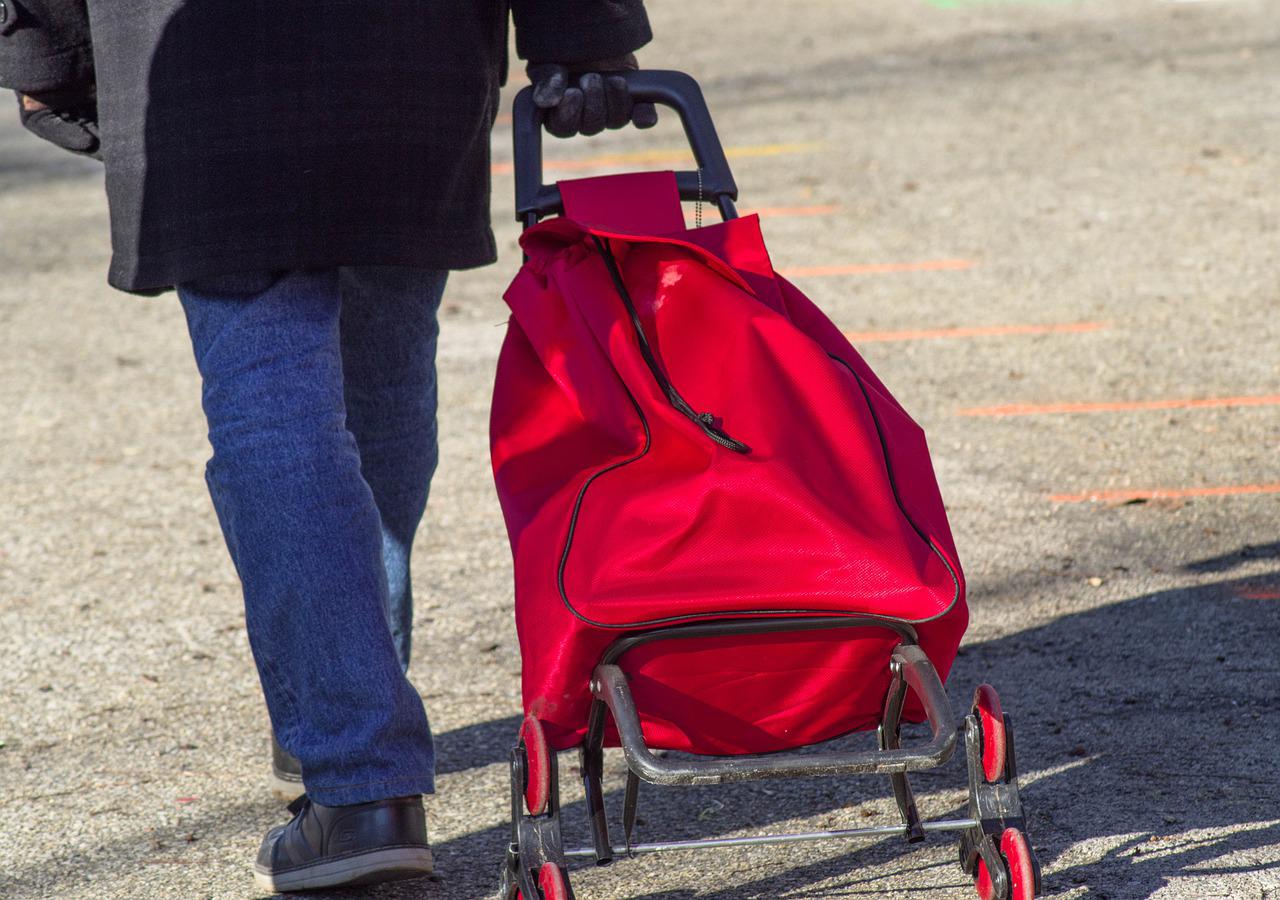 Carrello della spesa