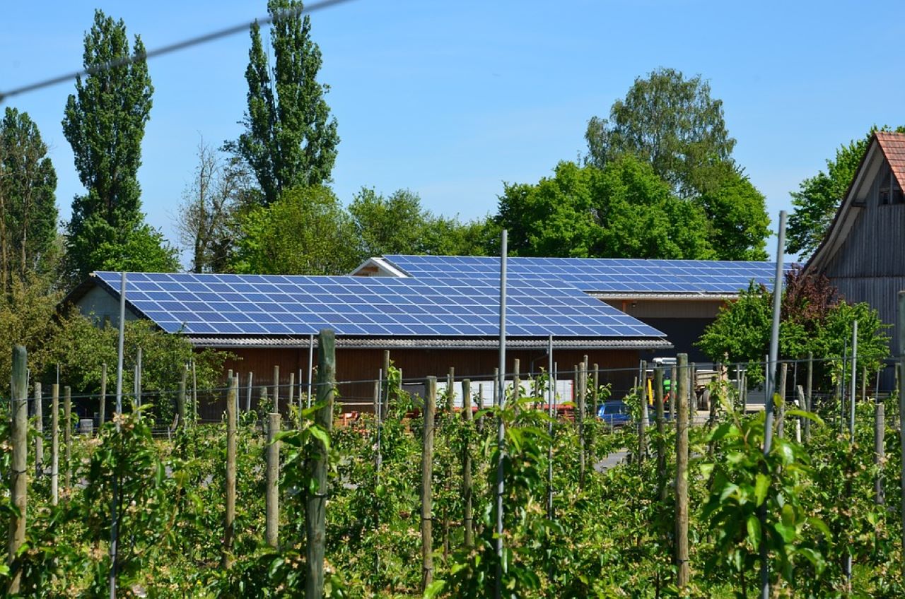 agrovoltaico casalingo