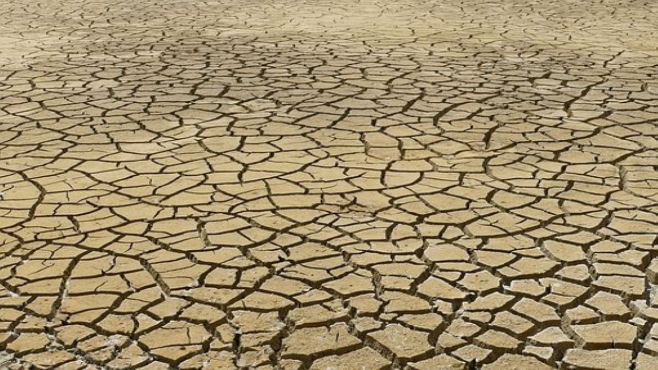cambiamenti climatici portano siccità