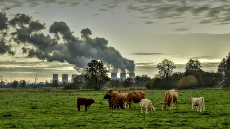 cambiamenti climatici e natura