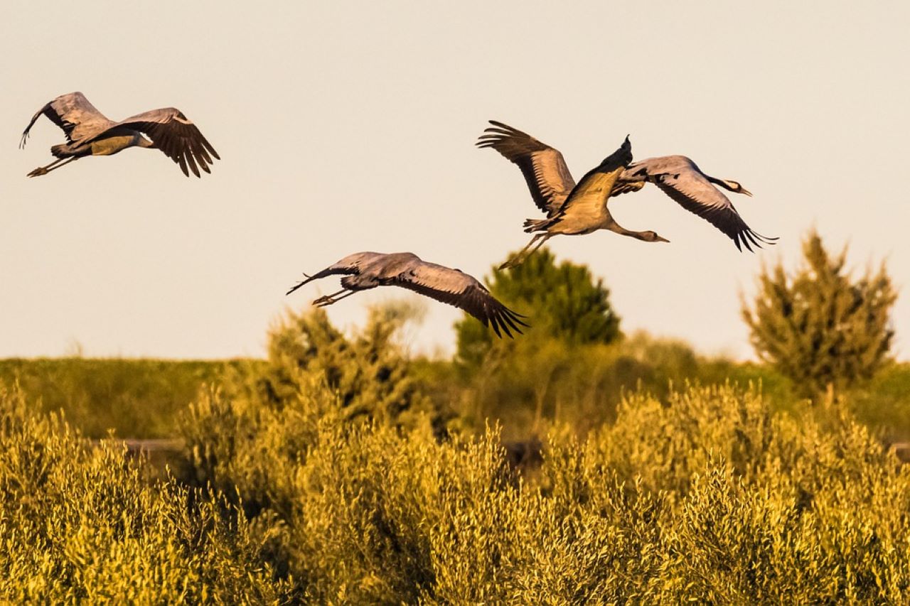 ecoturismo Spagna