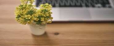 ufficio con pianta fiore