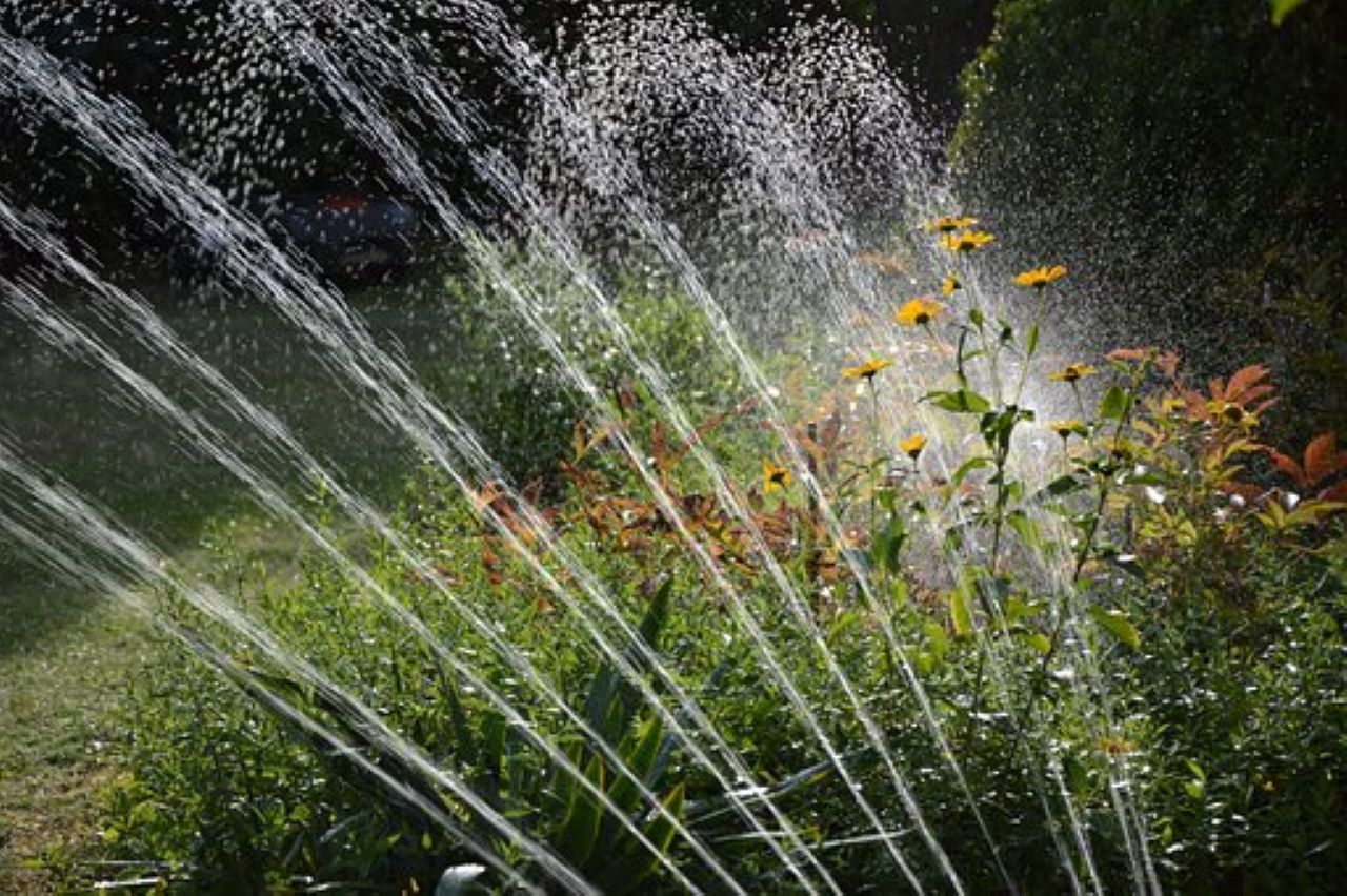 acqua piovana sfruttata