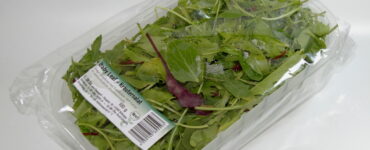 Contenitore d'insalata