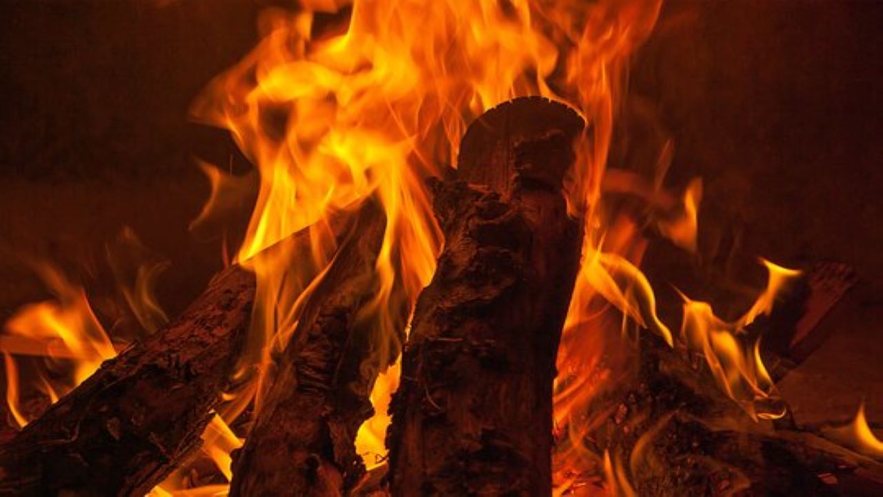 camino a legna con fuoco