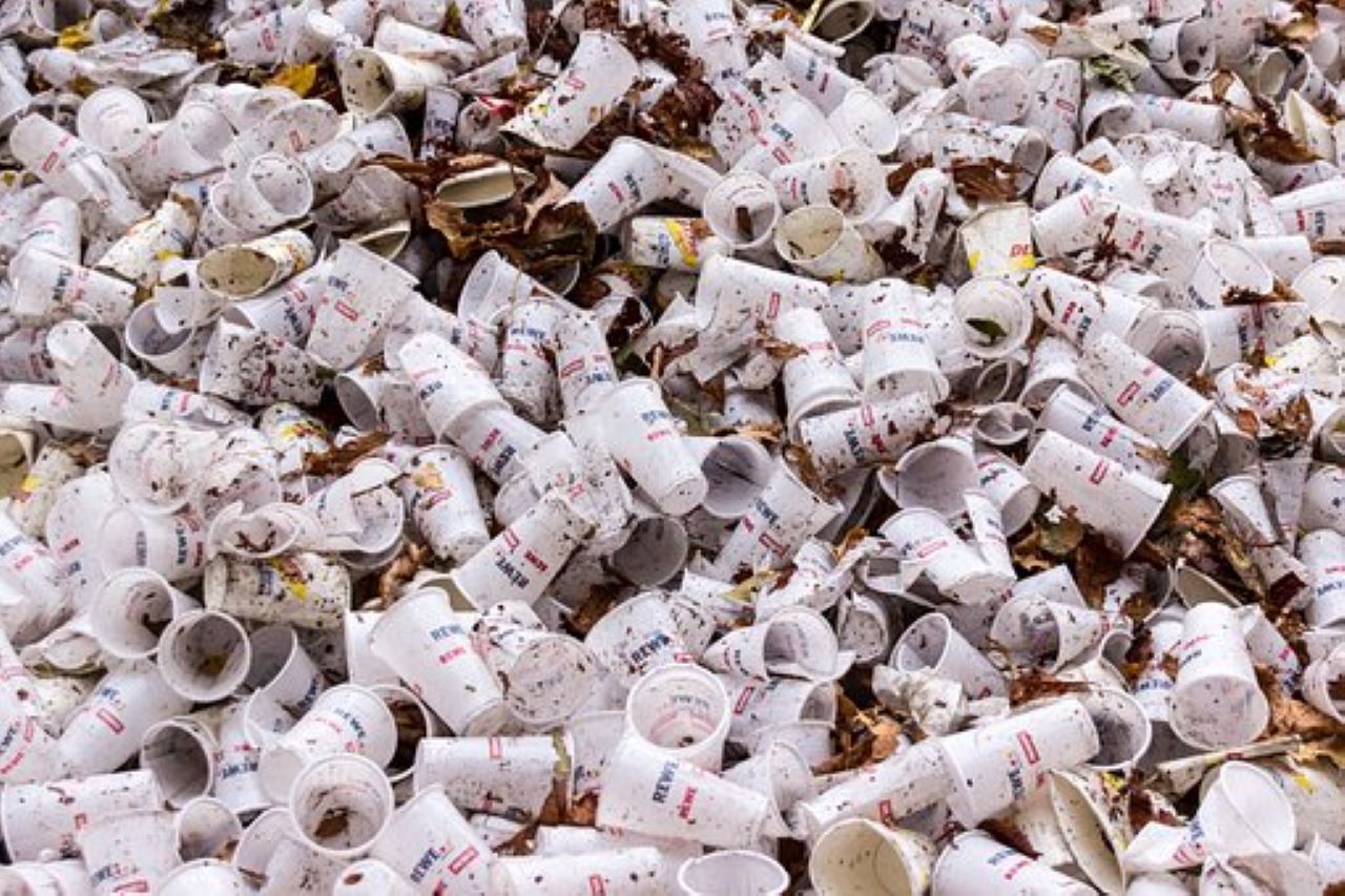 ridurre la plastica per evitare disastri