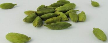 bacche di cardamomo