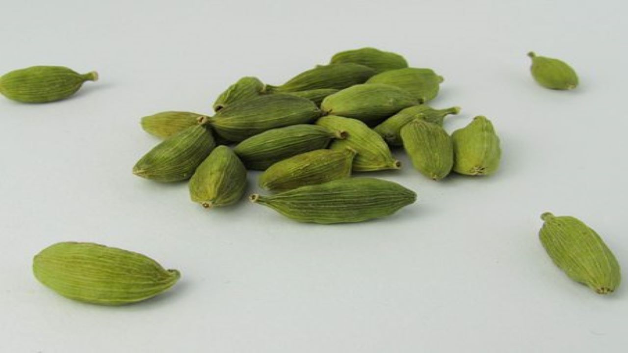 bacche di cardamomo