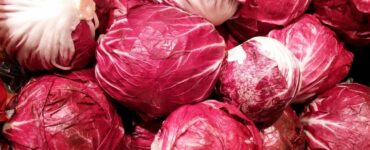 cavolo rosso, i benefici