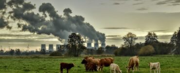 inquinamento da anidride carbonica