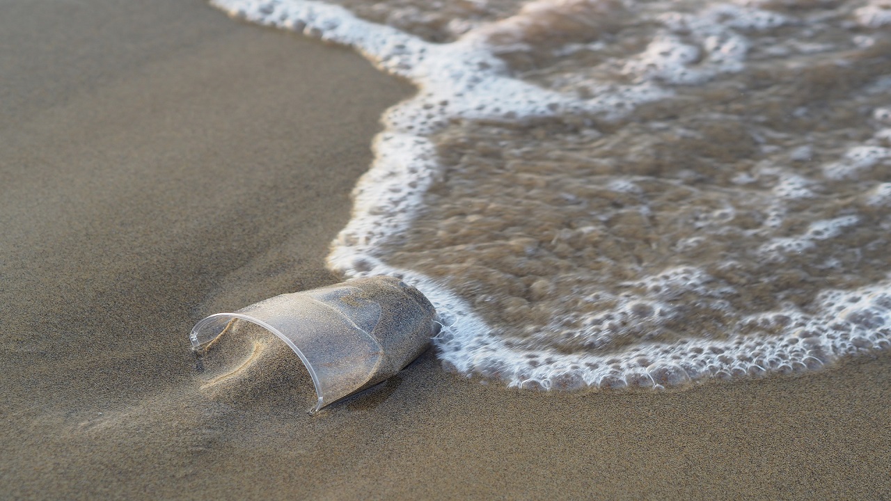 Bicchiere di plastica in mare