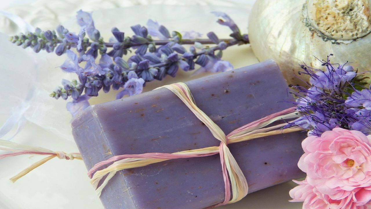 shampoo solido lavanda