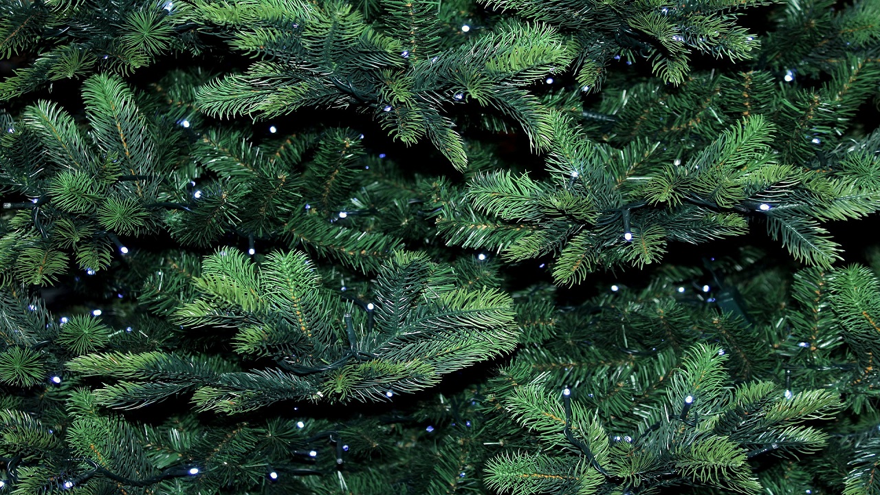 Luci albero di Natale