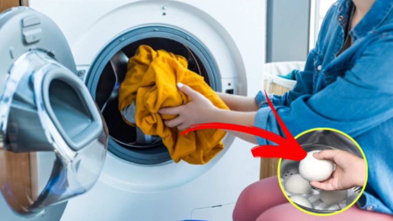 Sapete perché è importante mettere queste palline nella lavatrice? Possono  farci risparmiare tempo e denaro