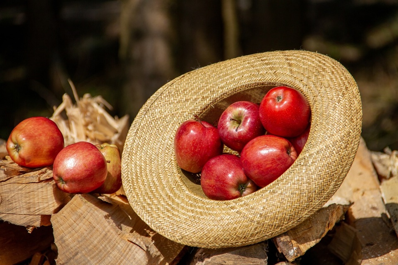 vecchi cappelli, ecco come riciclarli