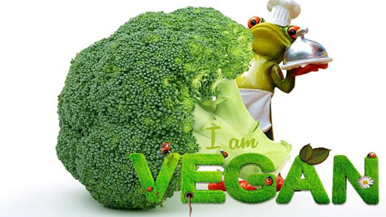 dieta per vegani