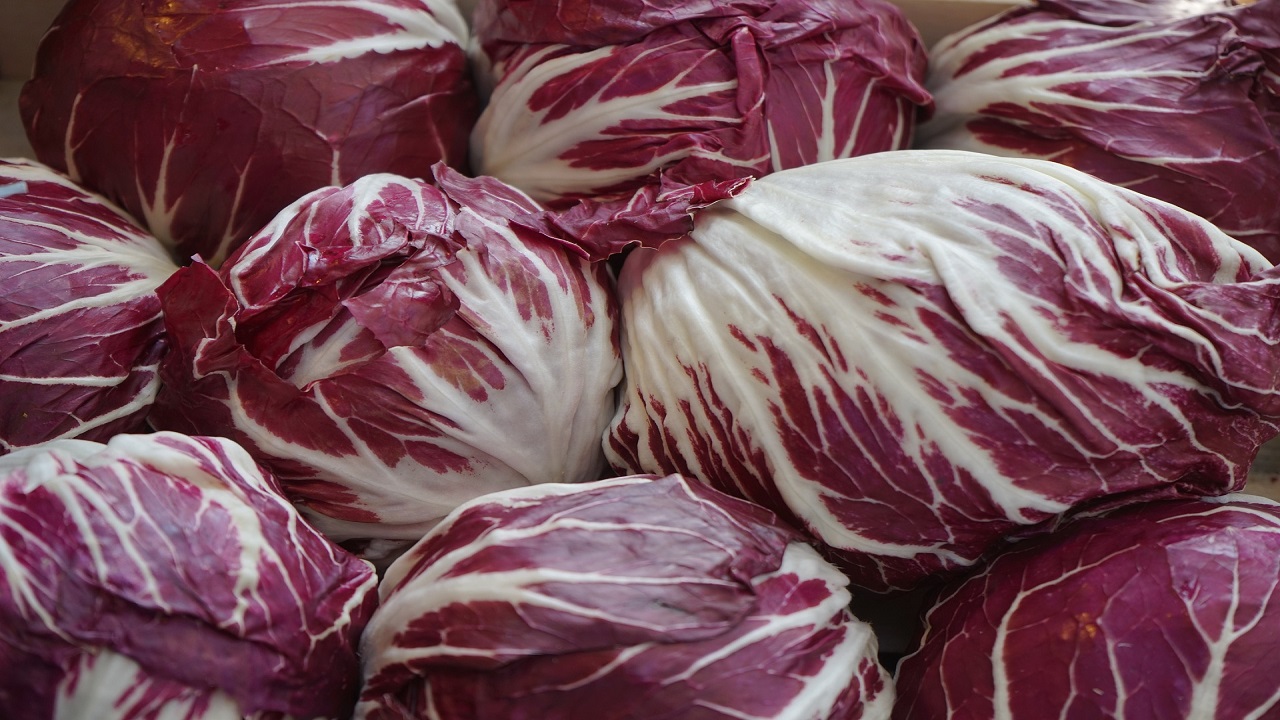 Radicchio rosso