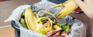 sprechi alimentari