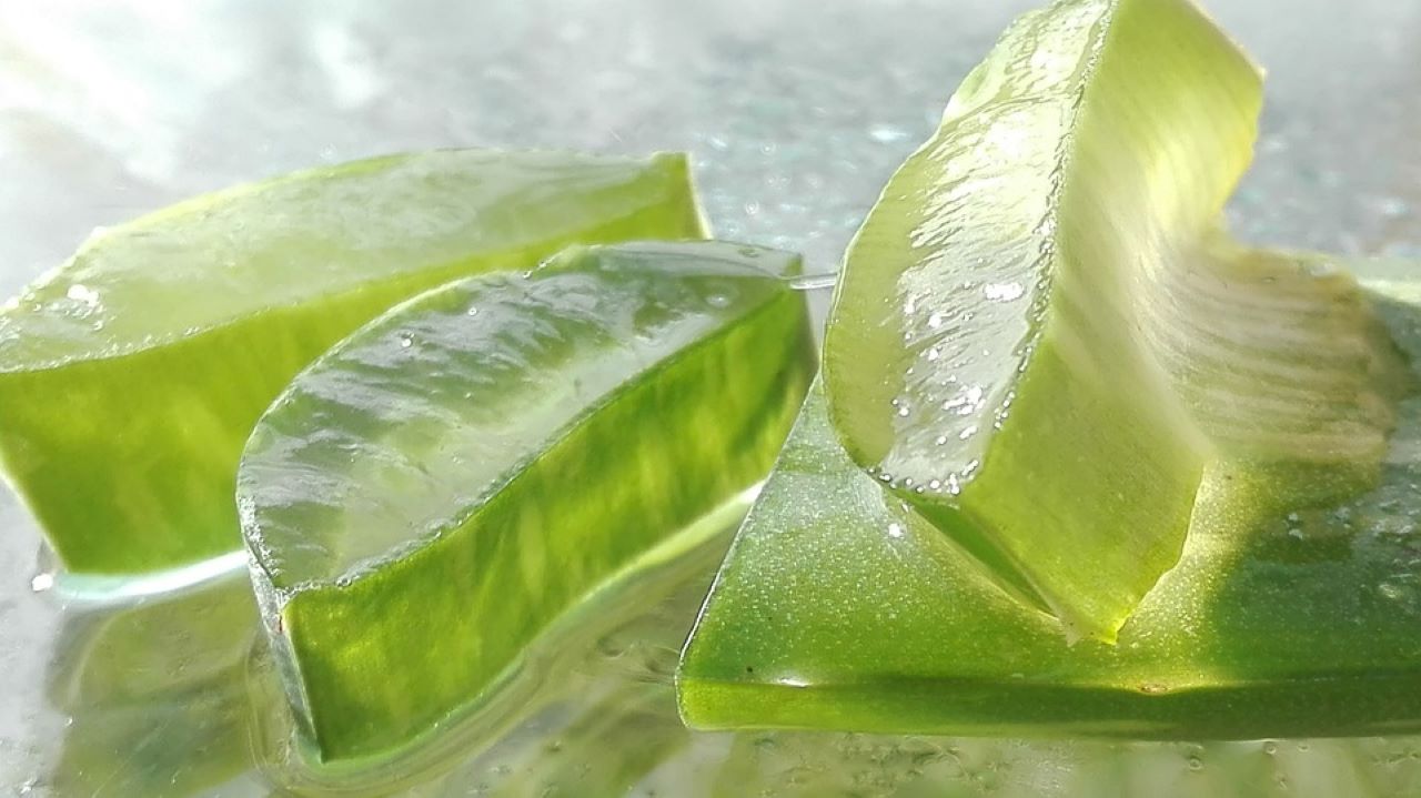 conservare aloe vera gel