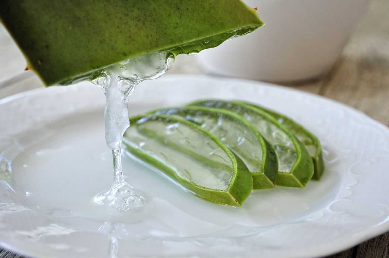 conservare aloe vera 