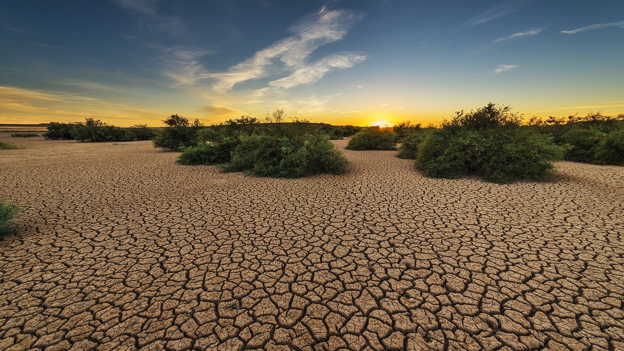 Siccità e deserto