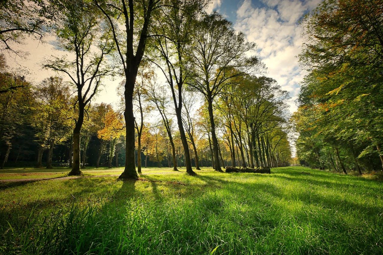 natura e aree verdi parco