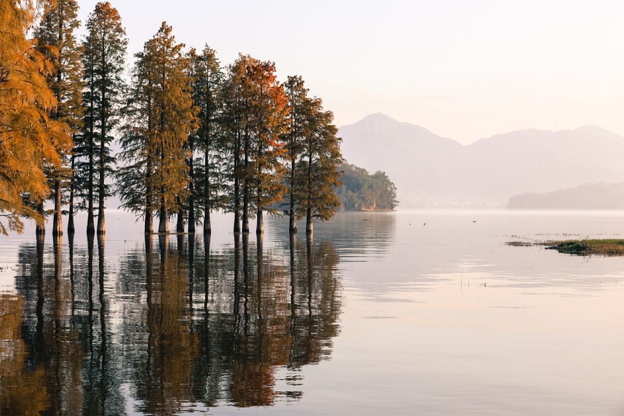 natura e aree verdi lago