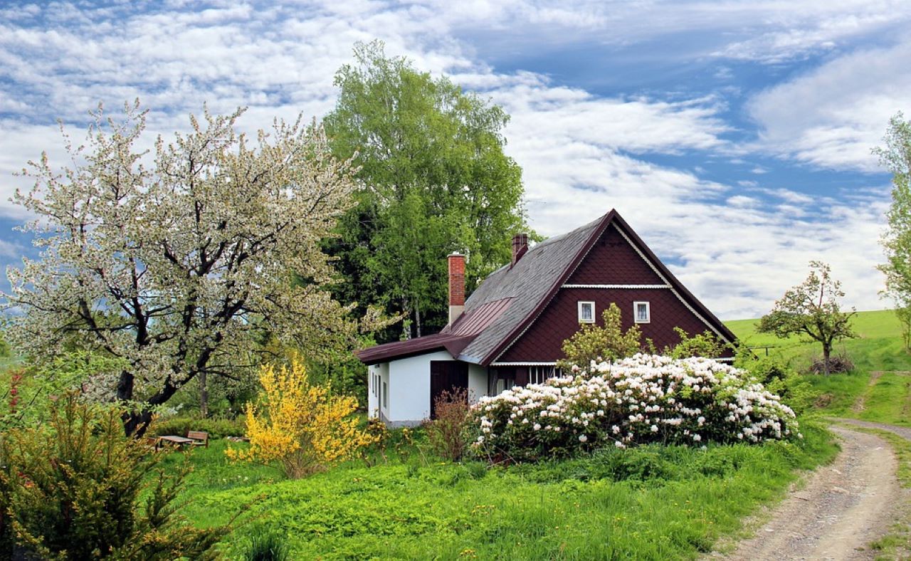 preparare il giardino naturale