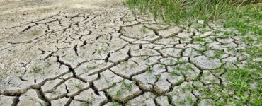 Terra secca e siccità