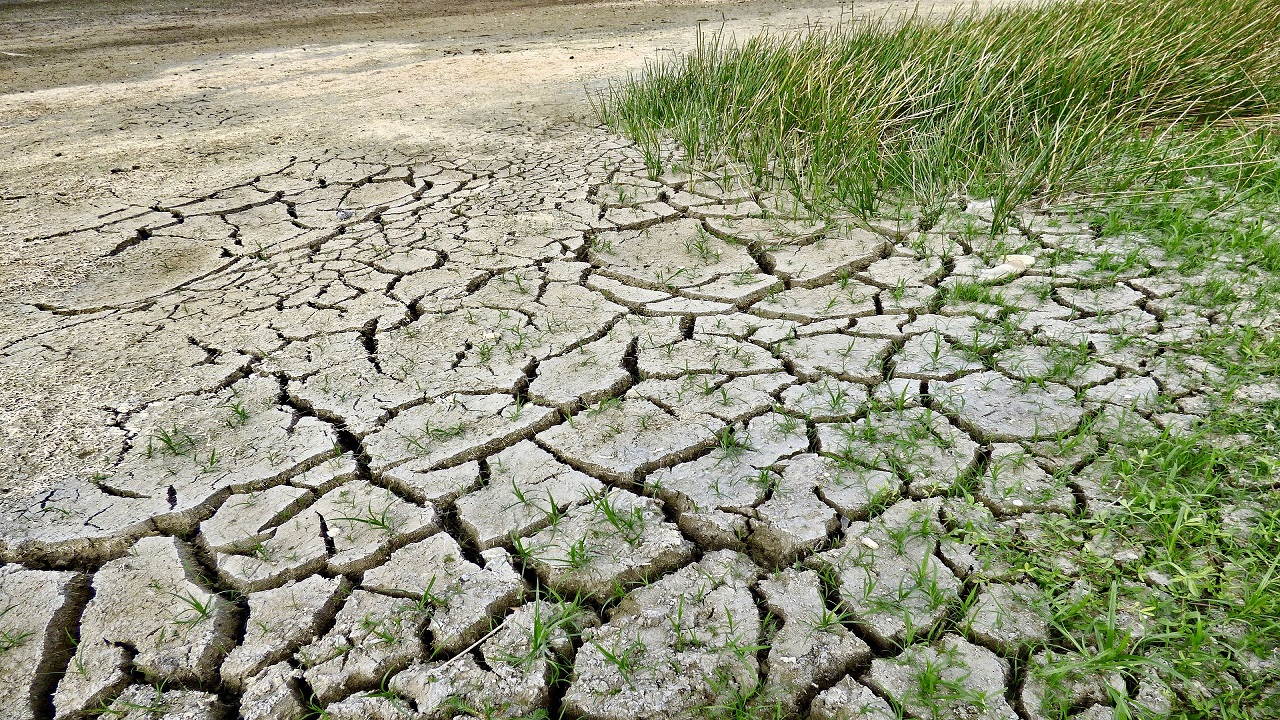 Terra secca e siccità