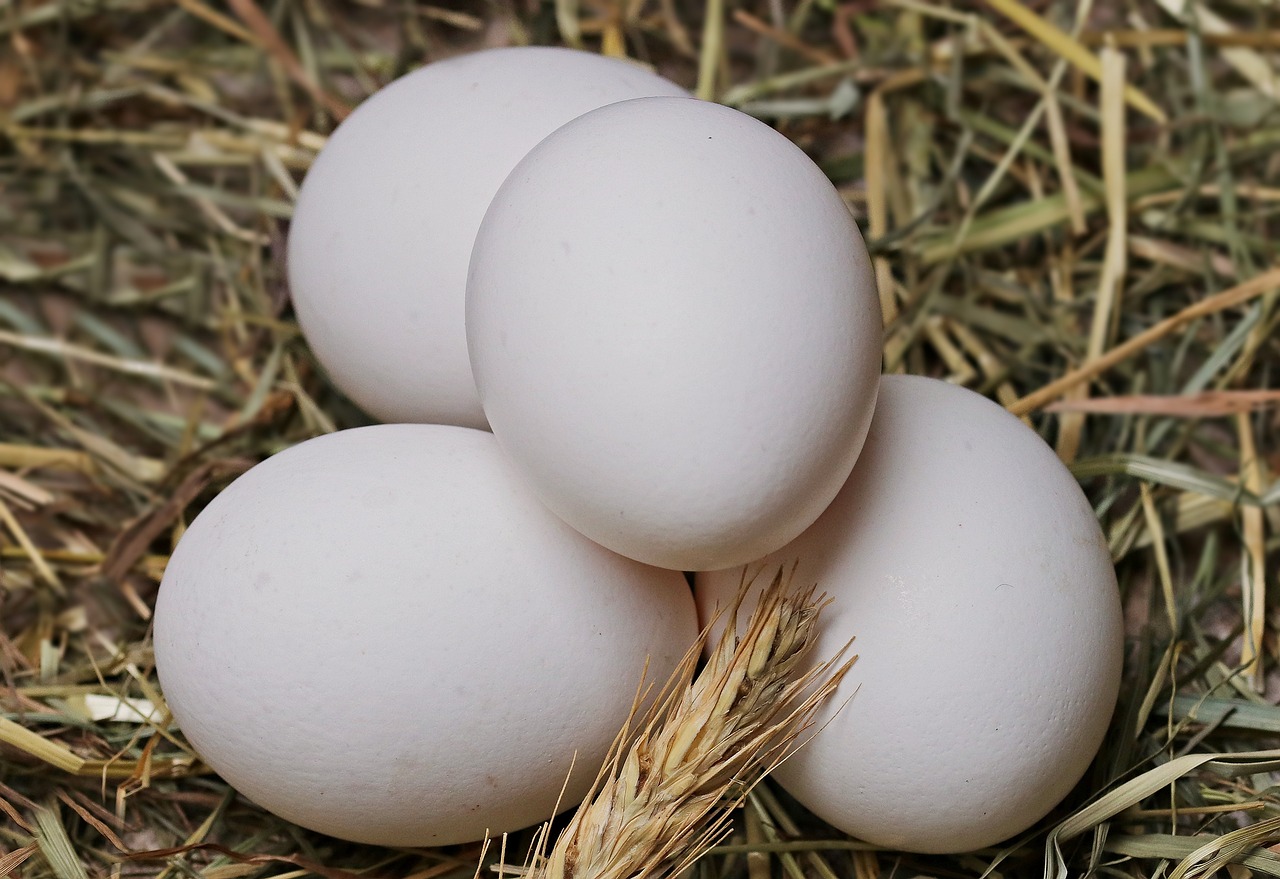 Uova nel pollaio