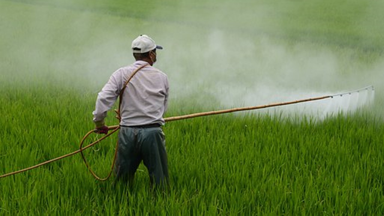 sostanze contaminanti