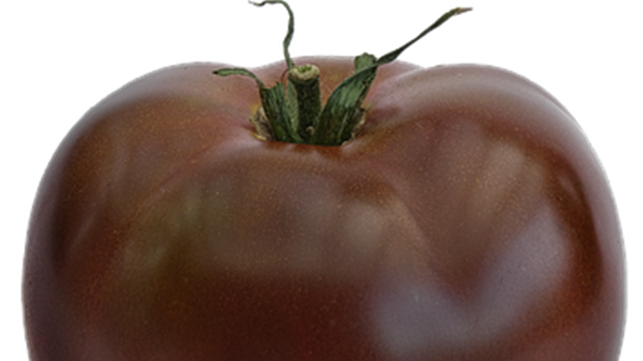 pomodoro