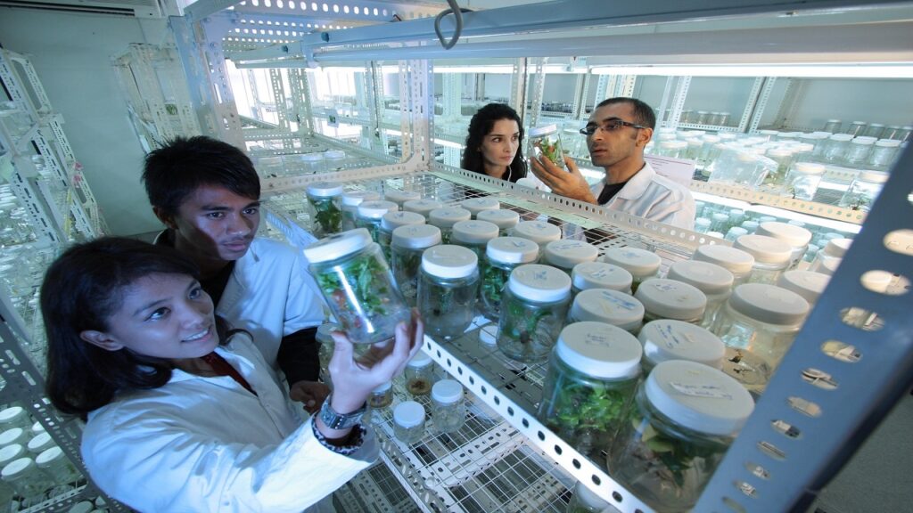 scienziati e piante