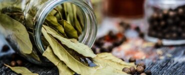 Barattolo rovesciato con foglie di alloro