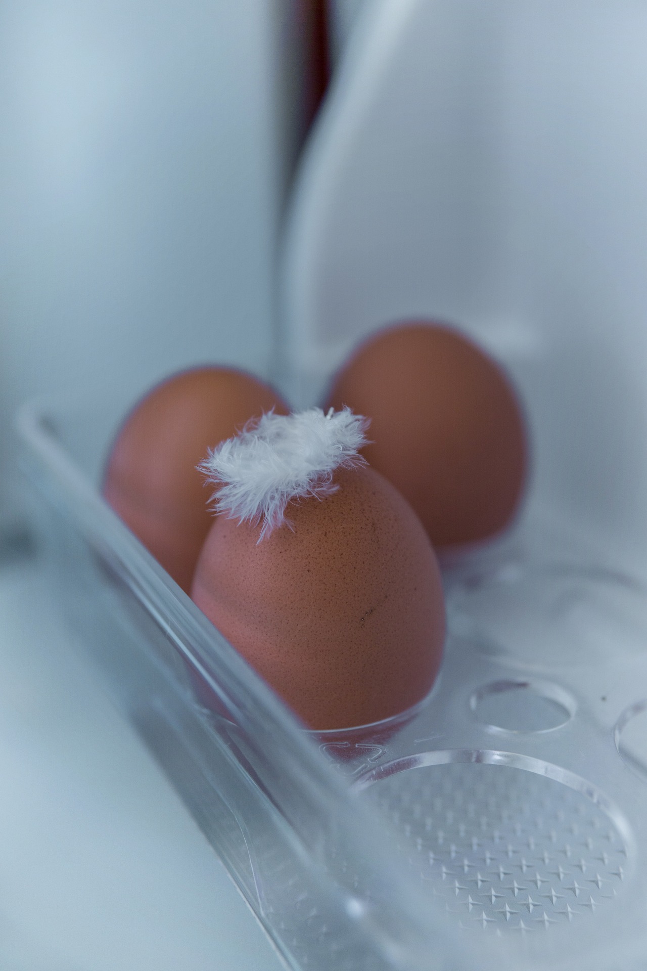 Uova conservate al freddo