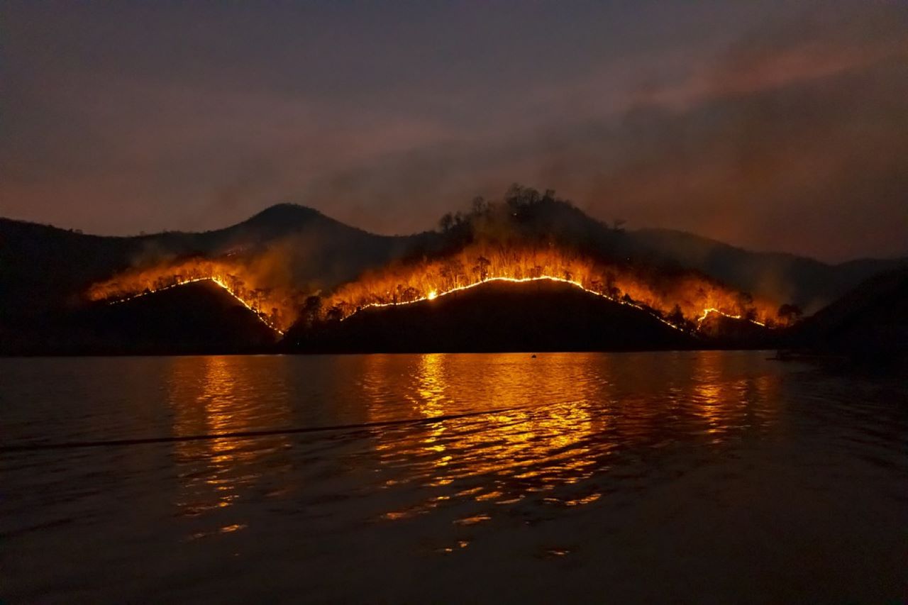 foreste fantasma incendio